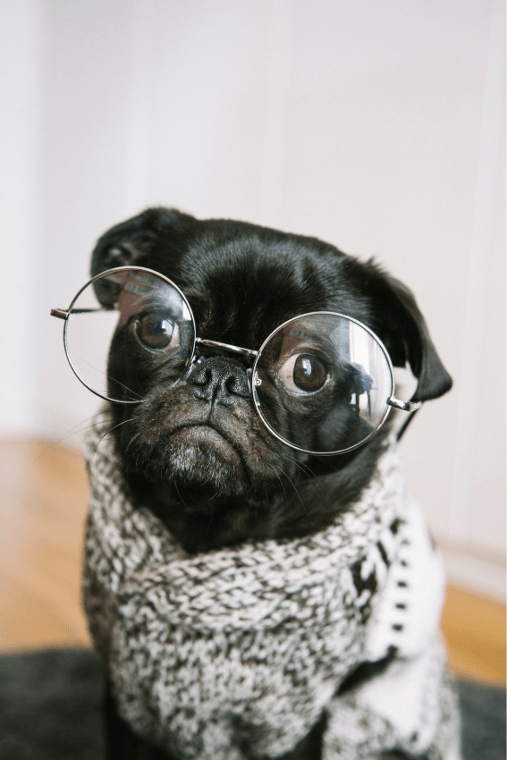 Contribution Unsplash de Charles Deluvio